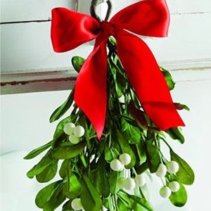MISTLETOE